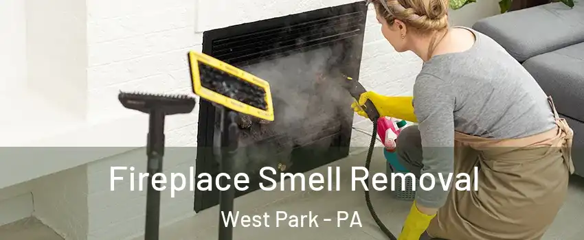 Fireplace Smell Removal West Park - PA