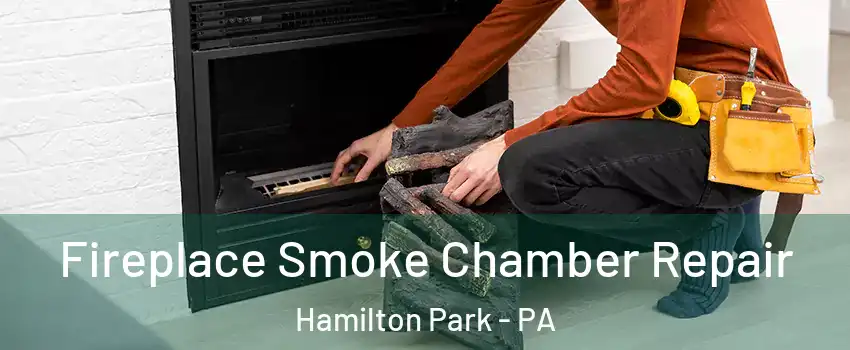 Fireplace Smoke Chamber Repair Hamilton Park - PA