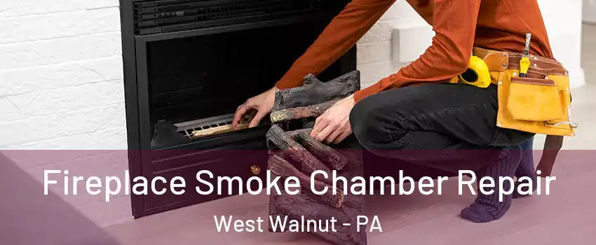 Fireplace Smoke Chamber Repair West Walnut - PA