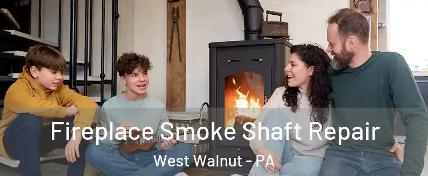 Fireplace Smoke Shaft Repair West Walnut - PA