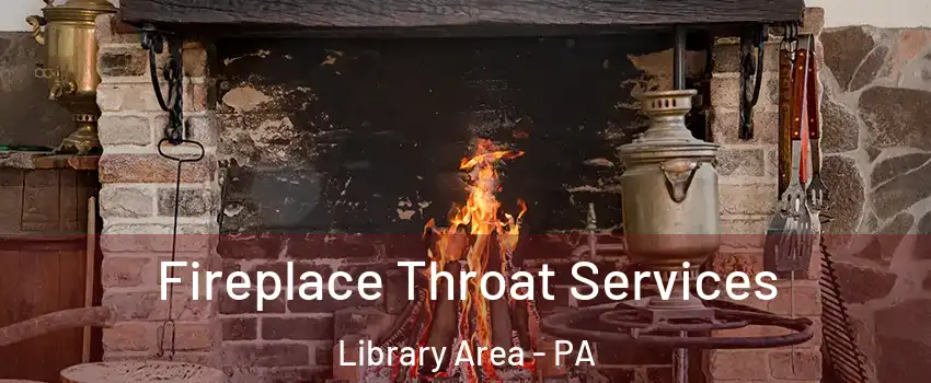 Fireplace Throat Services Library Area - PA