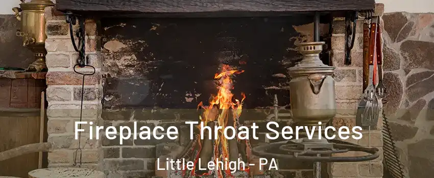 Fireplace Throat Services Little Lehigh - PA