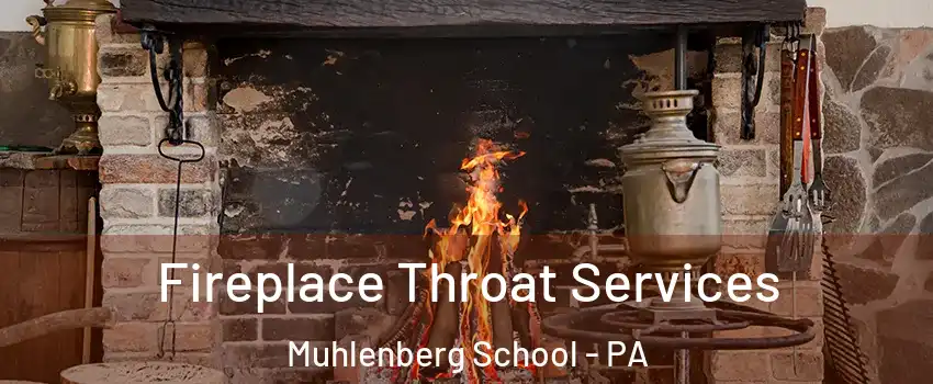 Fireplace Throat Services Muhlenberg School - PA