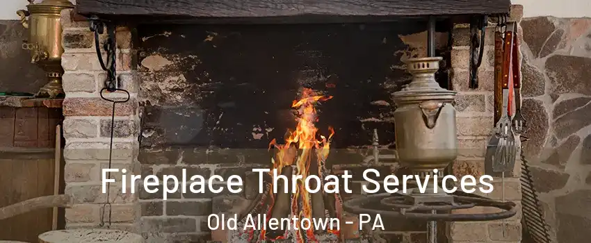 Fireplace Throat Services Old Allentown - PA