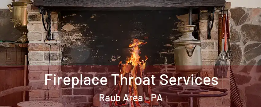 Fireplace Throat Services Raub Area - PA