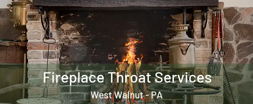 Fireplace Throat Services West Walnut - PA