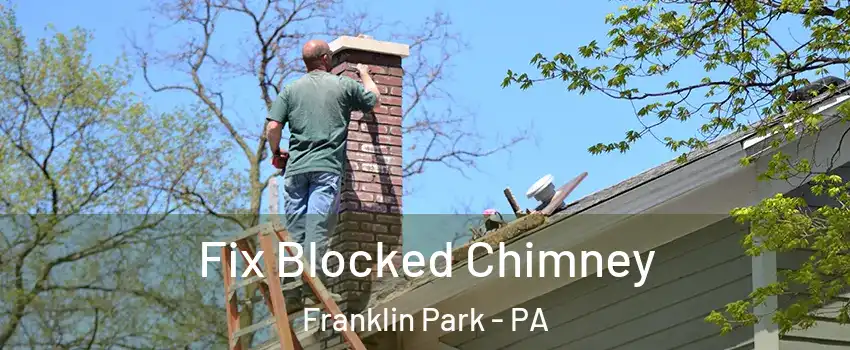 Fix Blocked Chimney Franklin Park - PA