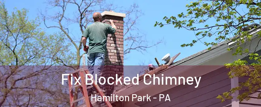 Fix Blocked Chimney Hamilton Park - PA