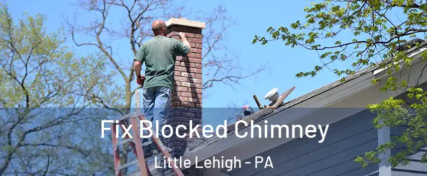 Fix Blocked Chimney Little Lehigh - PA