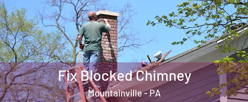 Fix Blocked Chimney Mountainville - PA