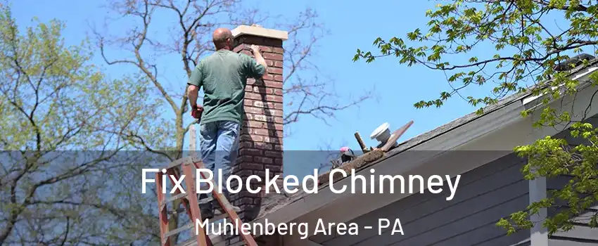 Fix Blocked Chimney Muhlenberg Area - PA