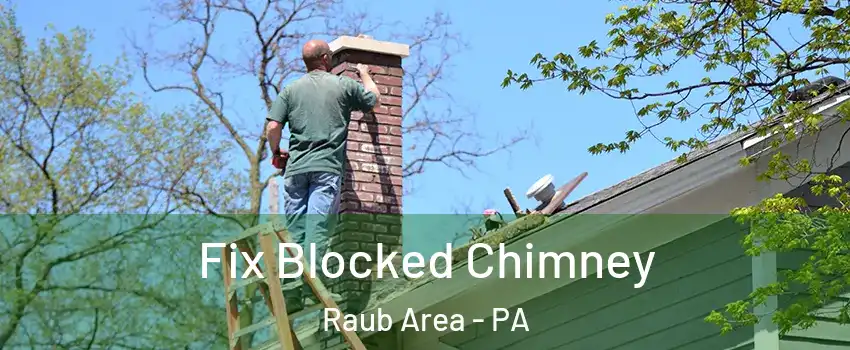 Fix Blocked Chimney Raub Area - PA