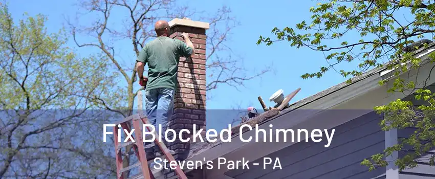 Fix Blocked Chimney Steven's Park - PA