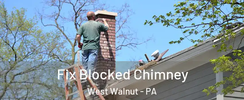 Fix Blocked Chimney West Walnut - PA