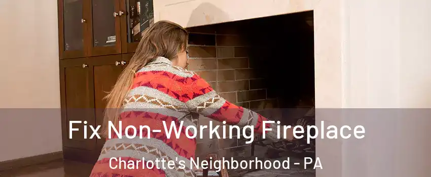 Fix Non-Working Fireplace Charlotte's Neighborhood - PA