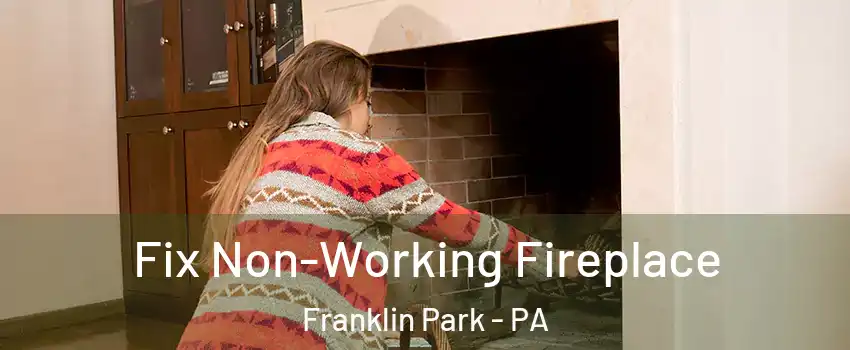 Fix Non-Working Fireplace Franklin Park - PA