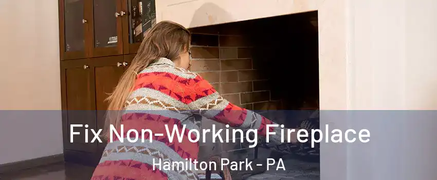 Fix Non-Working Fireplace Hamilton Park - PA