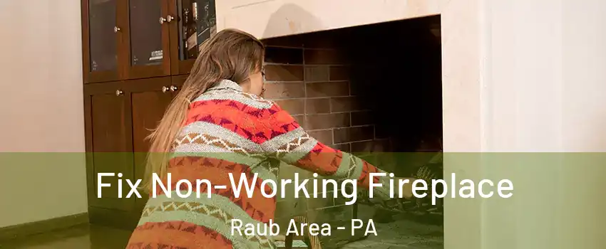 Fix Non-Working Fireplace Raub Area - PA