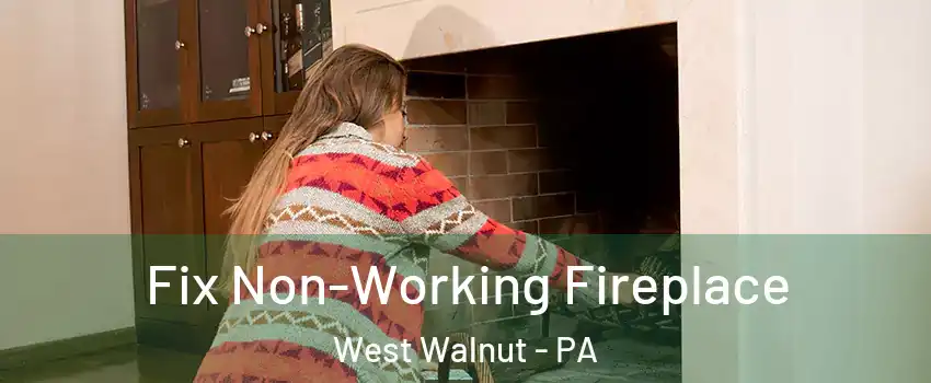 Fix Non-Working Fireplace West Walnut - PA