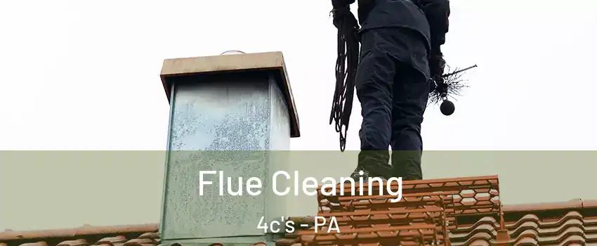 Flue Cleaning 4c's - PA