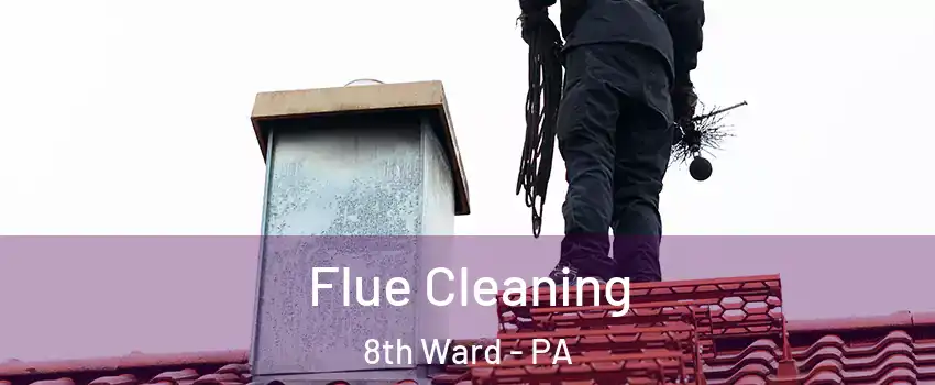 Flue Cleaning 8th Ward - PA