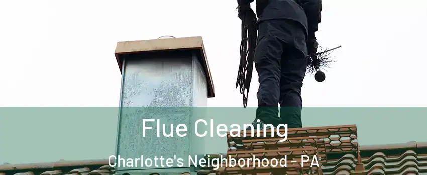 Flue Cleaning Charlotte's Neighborhood - PA