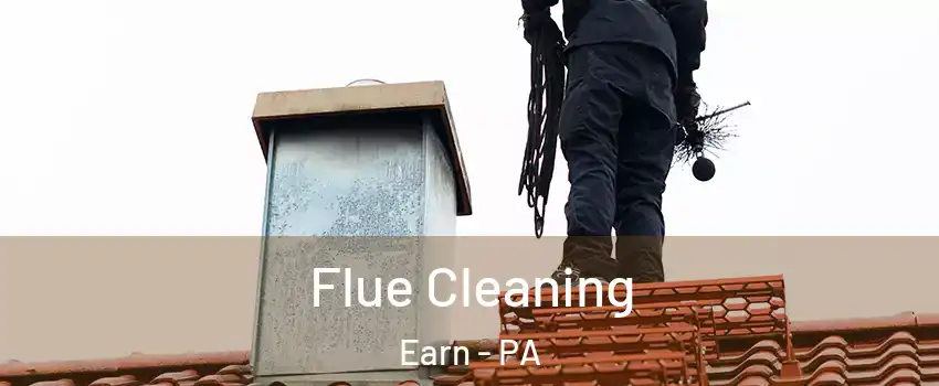 Flue Cleaning Earn - PA