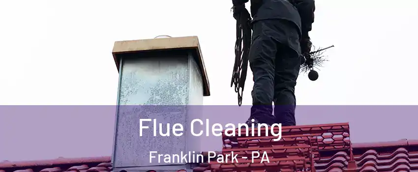 Flue Cleaning Franklin Park - PA