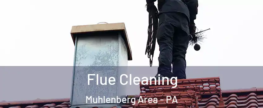 Flue Cleaning Muhlenberg Area - PA