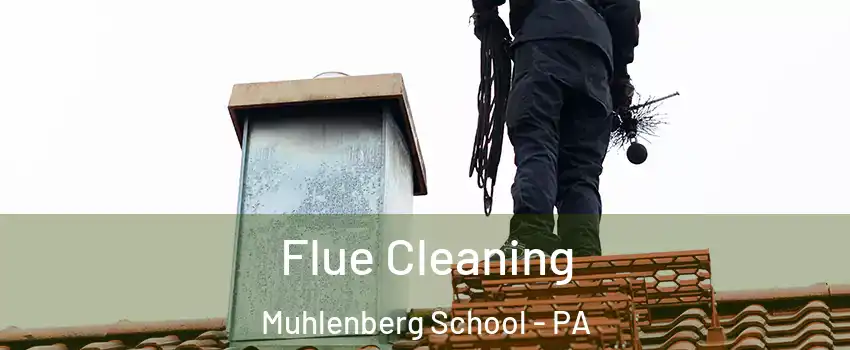 Flue Cleaning Muhlenberg School - PA