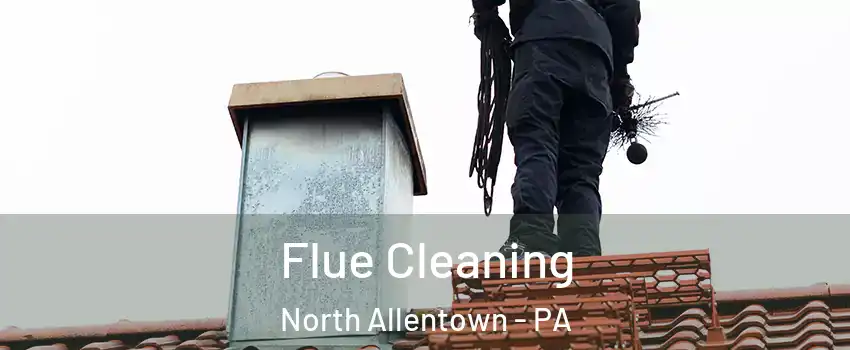 Flue Cleaning North Allentown - PA