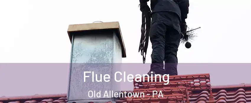 Flue Cleaning Old Allentown - PA