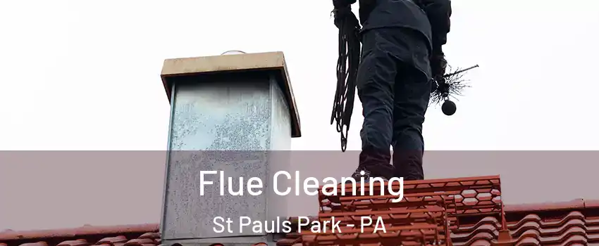 Flue Cleaning St Pauls Park - PA