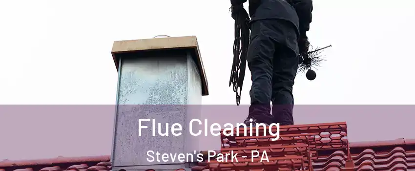 Flue Cleaning Steven's Park - PA