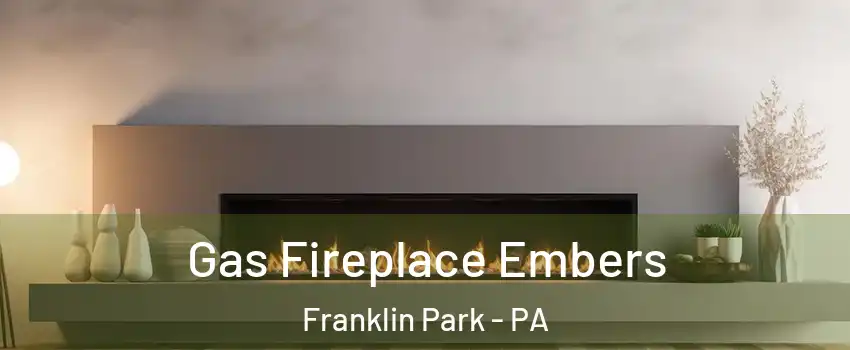 Gas Fireplace Embers Franklin Park - PA