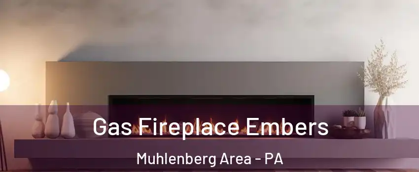 Gas Fireplace Embers Muhlenberg Area - PA