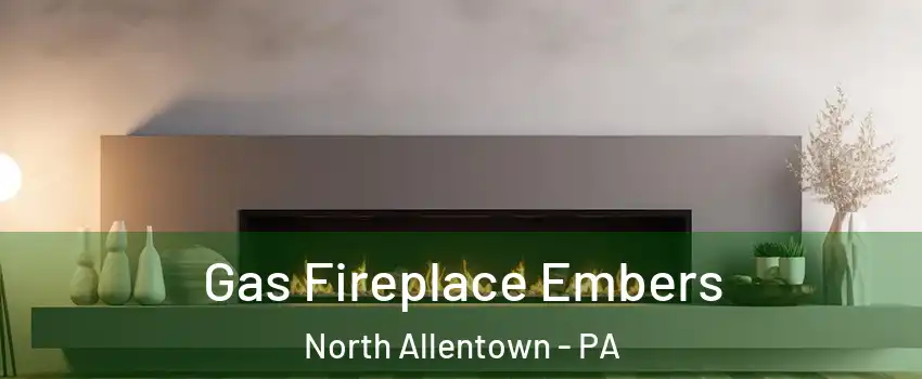 Gas Fireplace Embers North Allentown - PA