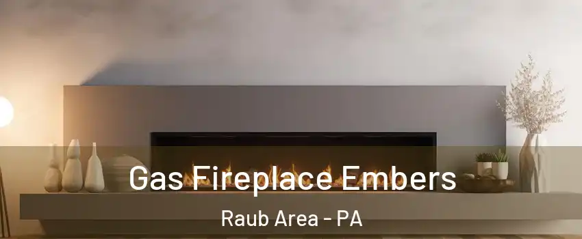 Gas Fireplace Embers Raub Area - PA