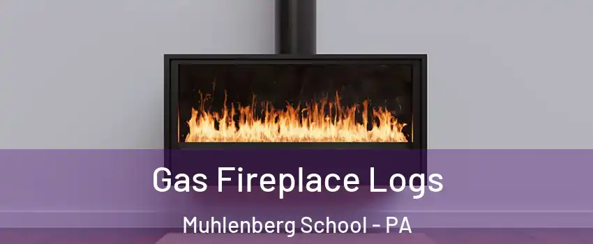 Gas Fireplace Logs Muhlenberg School - PA