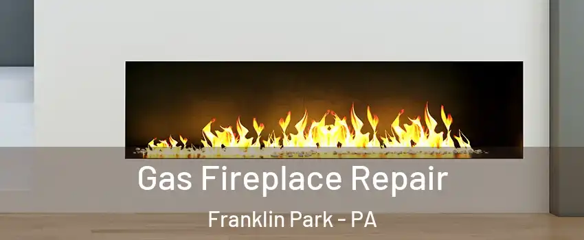 Gas Fireplace Repair Franklin Park - PA