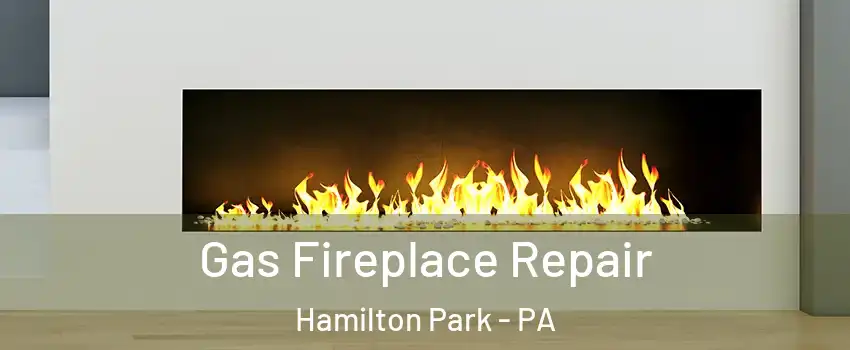 Gas Fireplace Repair Hamilton Park - PA