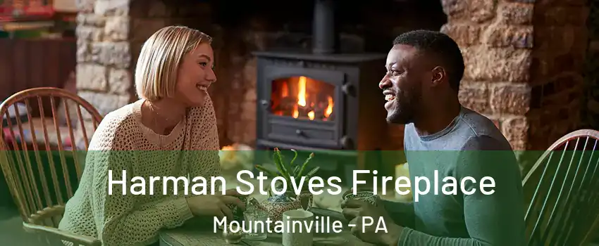 Harman Stoves Fireplace Mountainville - PA