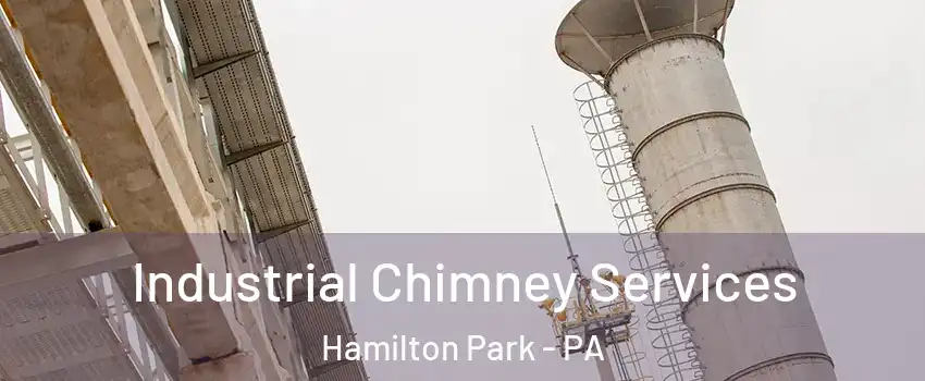 Industrial Chimney Services Hamilton Park - PA