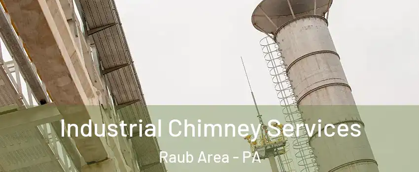 Industrial Chimney Services Raub Area - PA