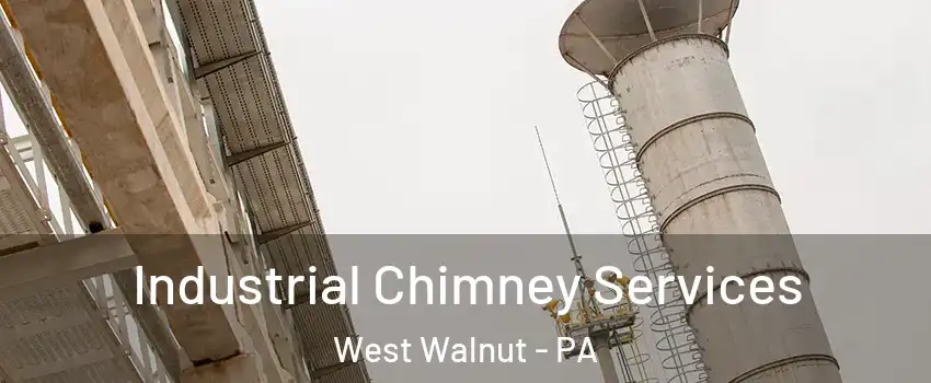 Industrial Chimney Services West Walnut - PA