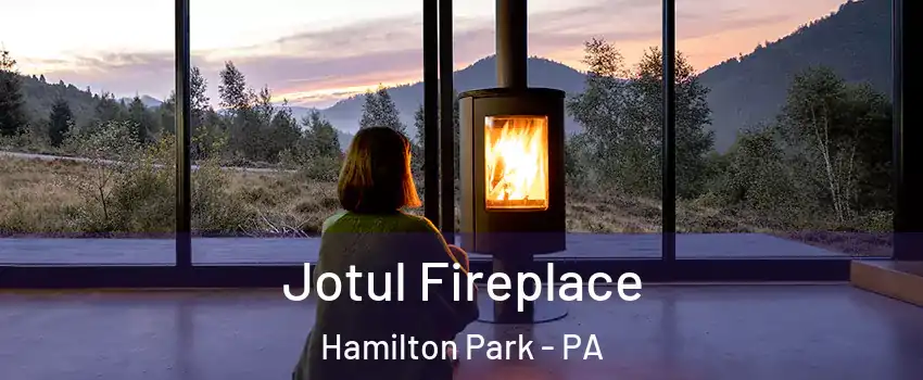 Jotul Fireplace Hamilton Park - PA