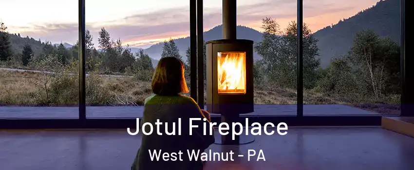 Jotul Fireplace West Walnut - PA