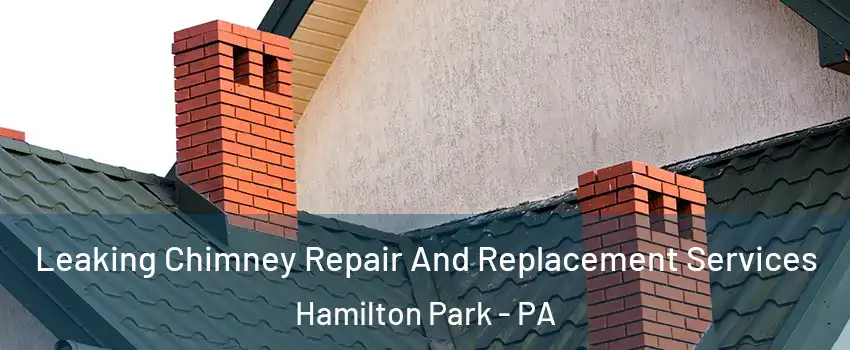 Leaking Chimney Repair And Replacement Services Hamilton Park - PA