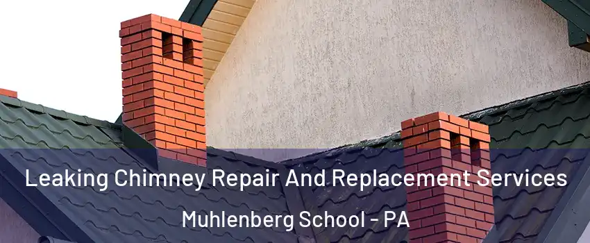 Leaking Chimney Repair And Replacement Services Muhlenberg School - PA