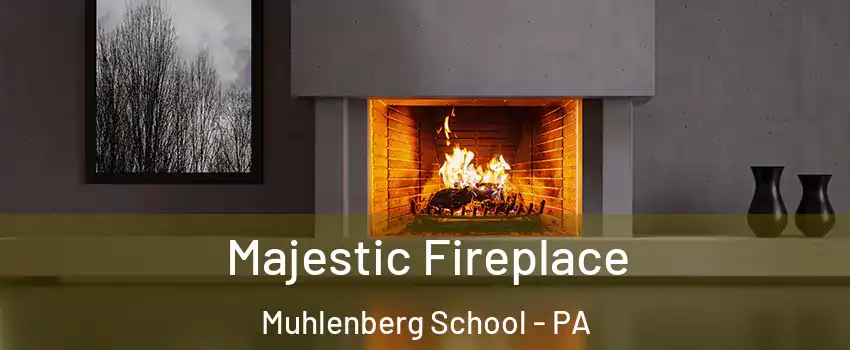 Majestic Fireplace Muhlenberg School - PA